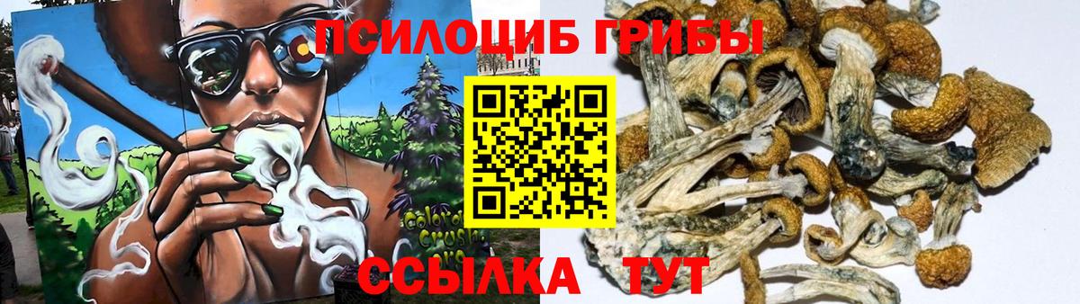 Ухта  Галлюциногенные грибы Psilocybine cubensis  Вход с VPN 